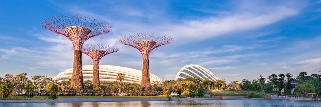 Singapore Delights Tour Package